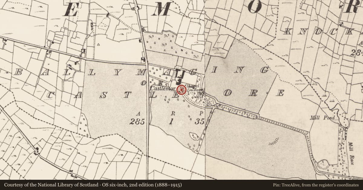 Ordnance Survey six-inch map, 2nd edition (1888–1915) covering the location of Chapel, Ballymaging Or Castlemore, County Roscommon, with a pin at the register's coordinates