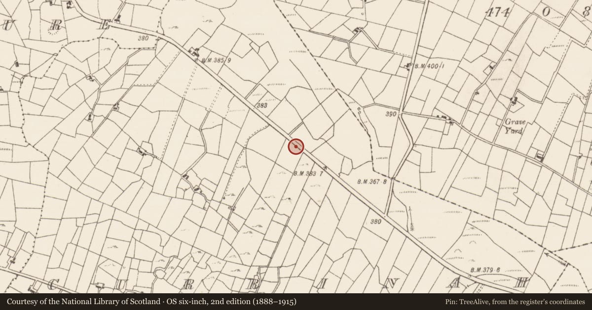 Ordnance Survey six-inch map, 2nd edition (1888–1915) covering the location of Fulacht fia, Currinah, County Roscommon, with a pin at the register's coordinates