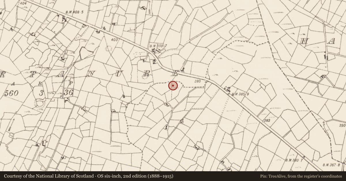 Ordnance Survey six-inch map, 2nd edition (1888–1915) covering the location of Fulacht fia, Currinah, County Roscommon, with a pin at the register's coordinates