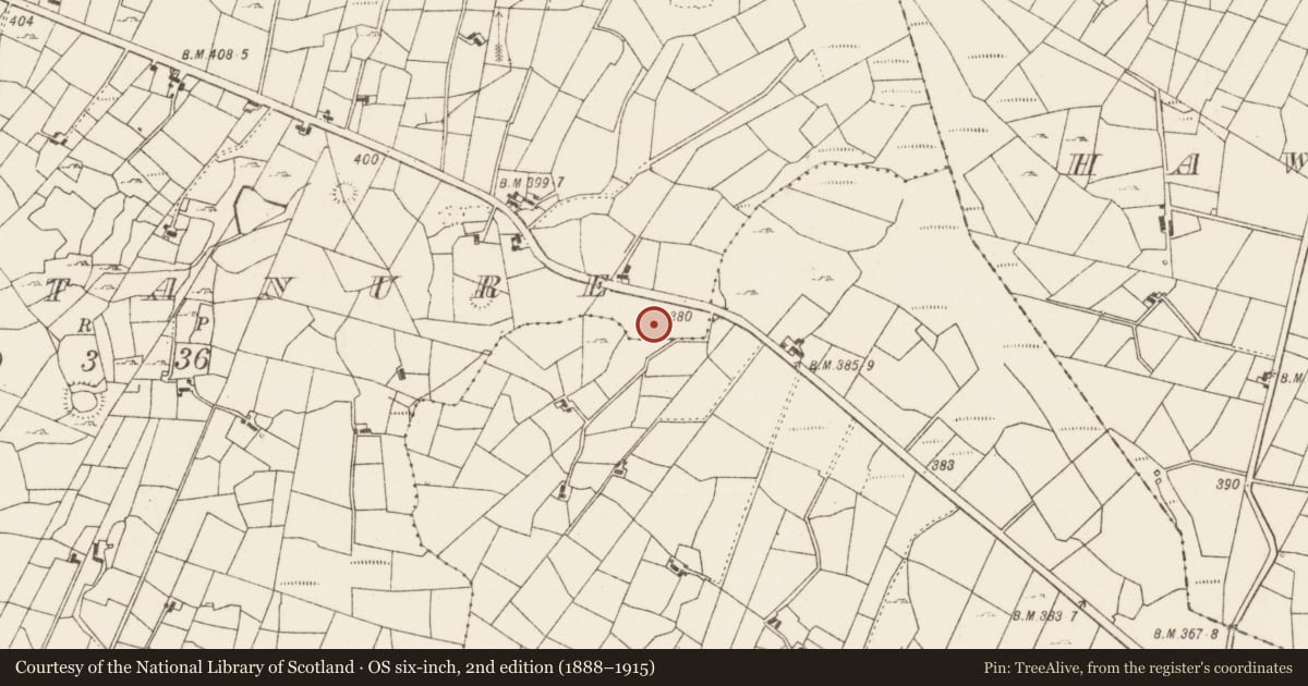 Ordnance Survey six-inch map, 2nd edition (1888–1915) covering the location of Excavation - miscellaneous, Gortanure, County Roscommon, with a pin at the register's coordinates