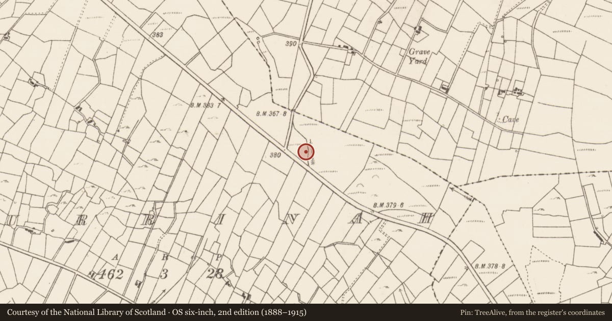 Ordnance Survey six-inch map, 2nd edition (1888–1915) covering the location of Fulacht fia, Currinah, County Roscommon, with a pin at the register's coordinates