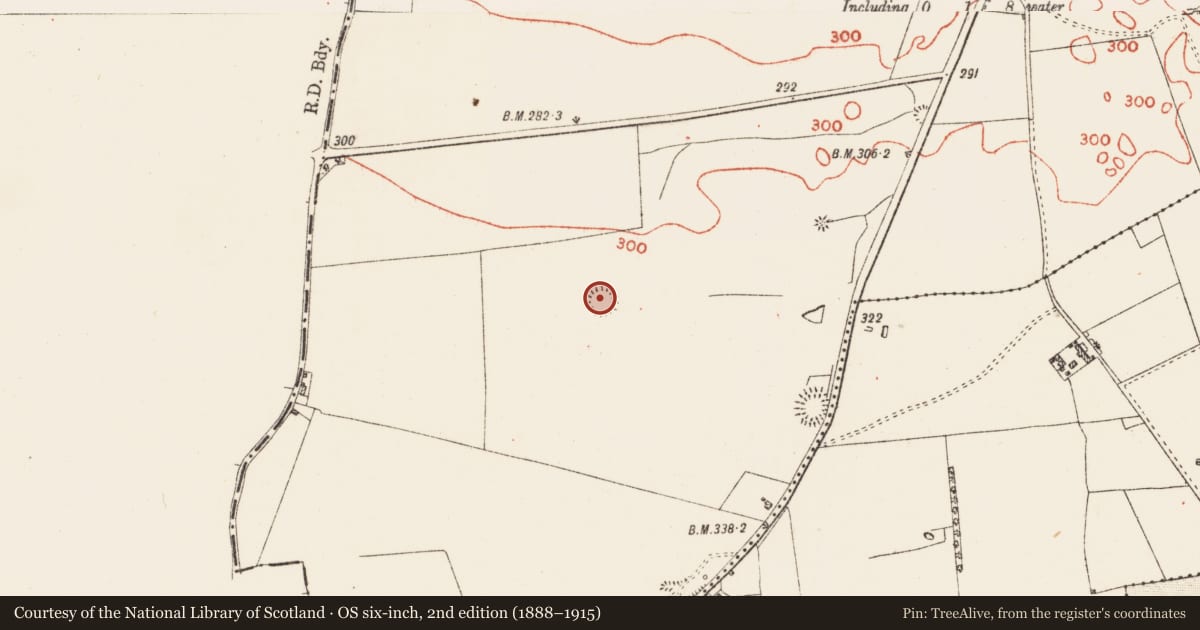 Ordnance Survey six-inch map, 2nd edition (1888–1915) covering the location of Ringfort - rath, Lisserdrea, County Roscommon, with a pin at the register's coordinates