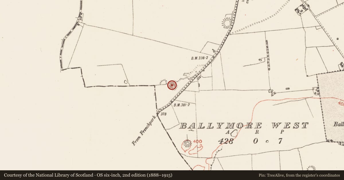 Ordnance Survey six-inch map, 2nd edition (1888–1915) covering the location of Ringfort - cashel, Lisserdrea, County Roscommon, with a pin at the register's coordinates