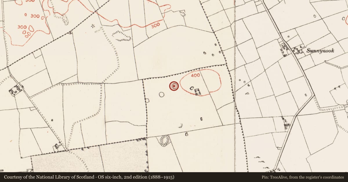 Ordnance Survey six-inch map, 2nd edition (1888–1915) covering the location of Ringfort - rath, Ballymore East Or Corbally, County Roscommon, with a pin at the register's coordinates