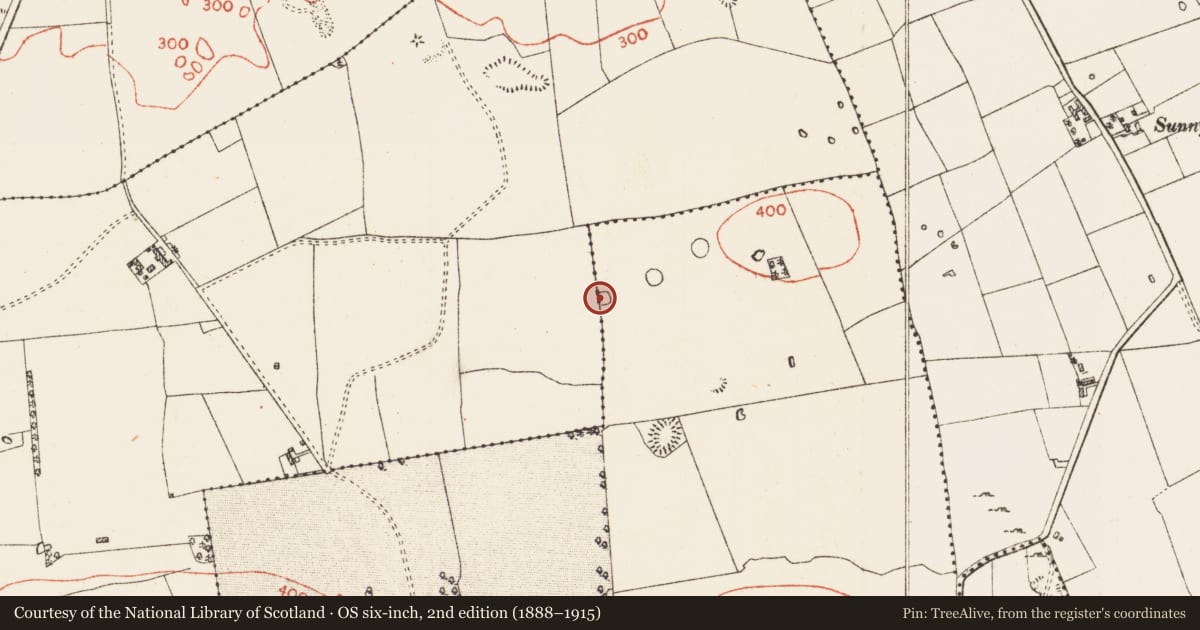 Ordnance Survey six-inch map, 2nd edition (1888–1915) covering the location of Ringfort - rath, Ballymore East Or Corbally, Ballymore West, County Roscommon, with a pin at the register's coordinates
