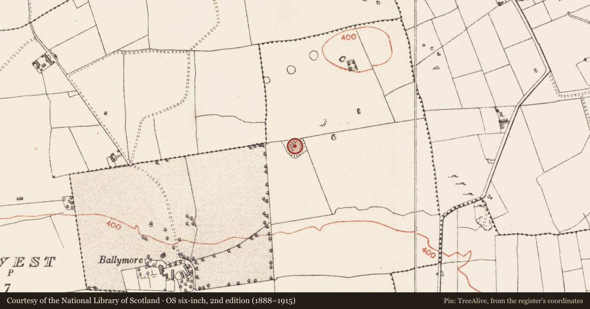 Ordnance Survey six-inch map, 2nd edition (1888–1915) covering the location of Ringfort - rath, Ballymore East Or Corbally, County Roscommon, with a pin at the register's coordinates