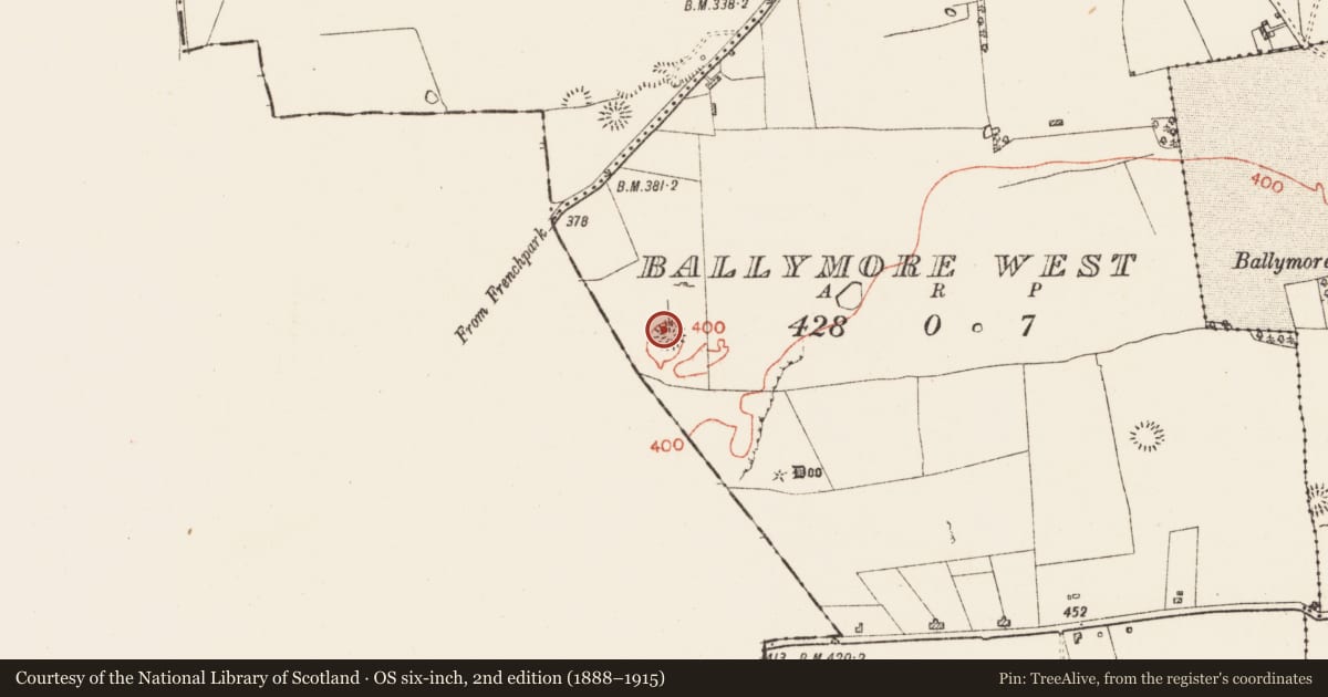 Ordnance Survey six-inch map, 2nd edition (1888–1915) covering the location of Ringfort - rath, Ballymore West, County Roscommon, with a pin at the register's coordinates