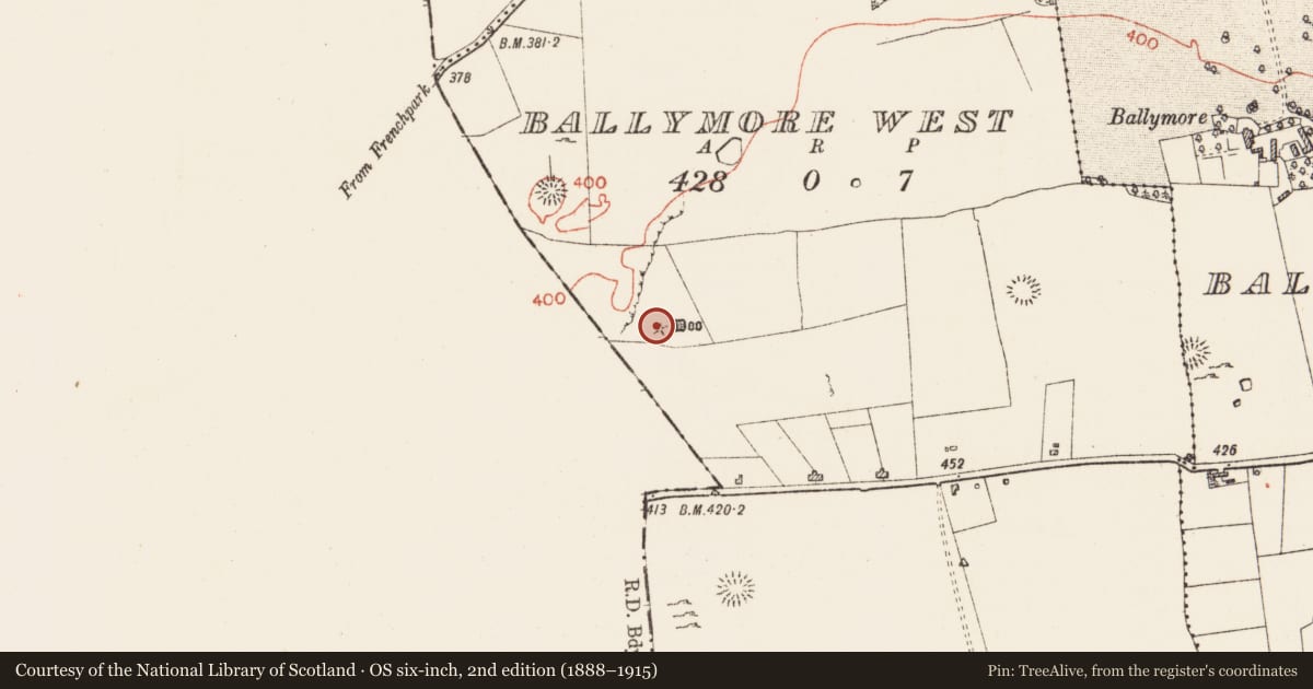 Ordnance Survey six-inch map, 2nd edition (1888–1915) covering the location of Barrow - mound barrow, Ballymore West, County Roscommon, with a pin at the register's coordinates