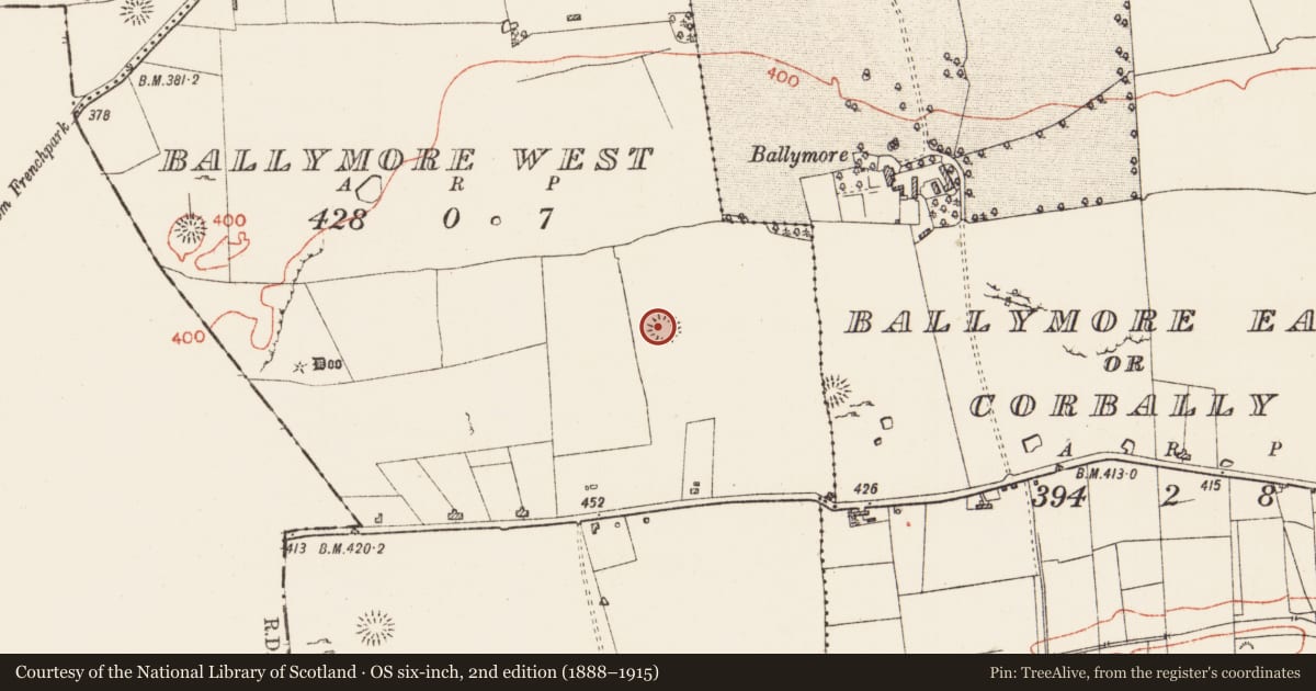 Ordnance Survey six-inch map, 2nd edition (1888–1915) covering the location of Barrow - ring-barrow, Ballymore West, County Roscommon, with a pin at the register's coordinates