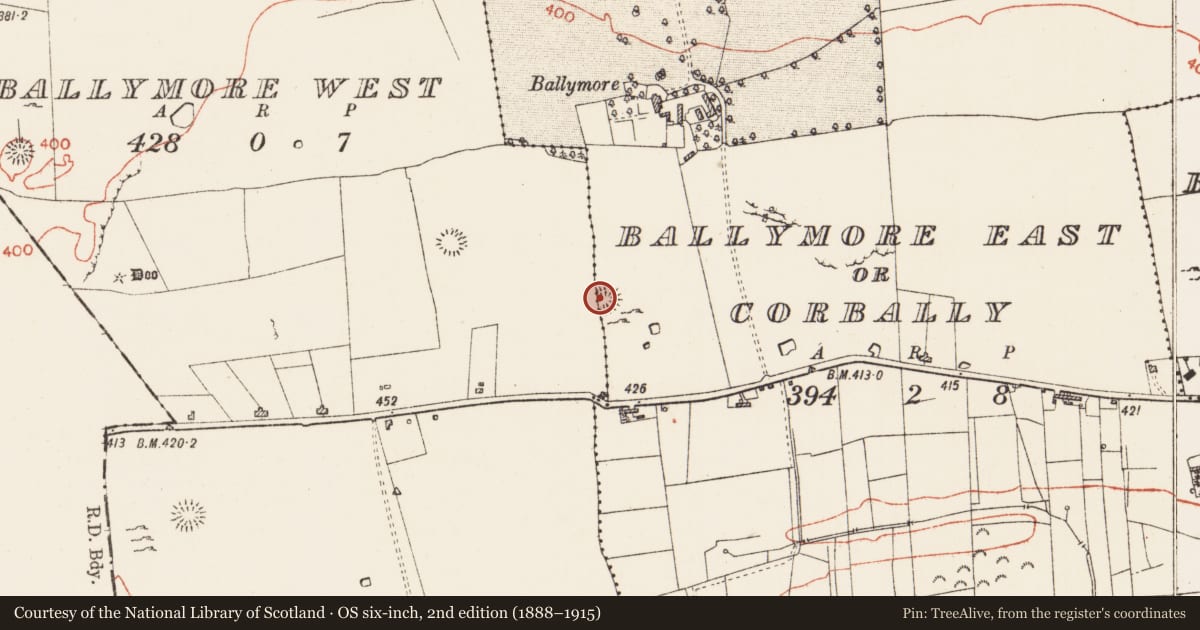Ordnance Survey six-inch map, 2nd edition (1888–1915) covering the location of Ringfort - cashel, Ballymore West, Ballymore East Or Corbally, County Roscommon, with a pin at the register's coordinates