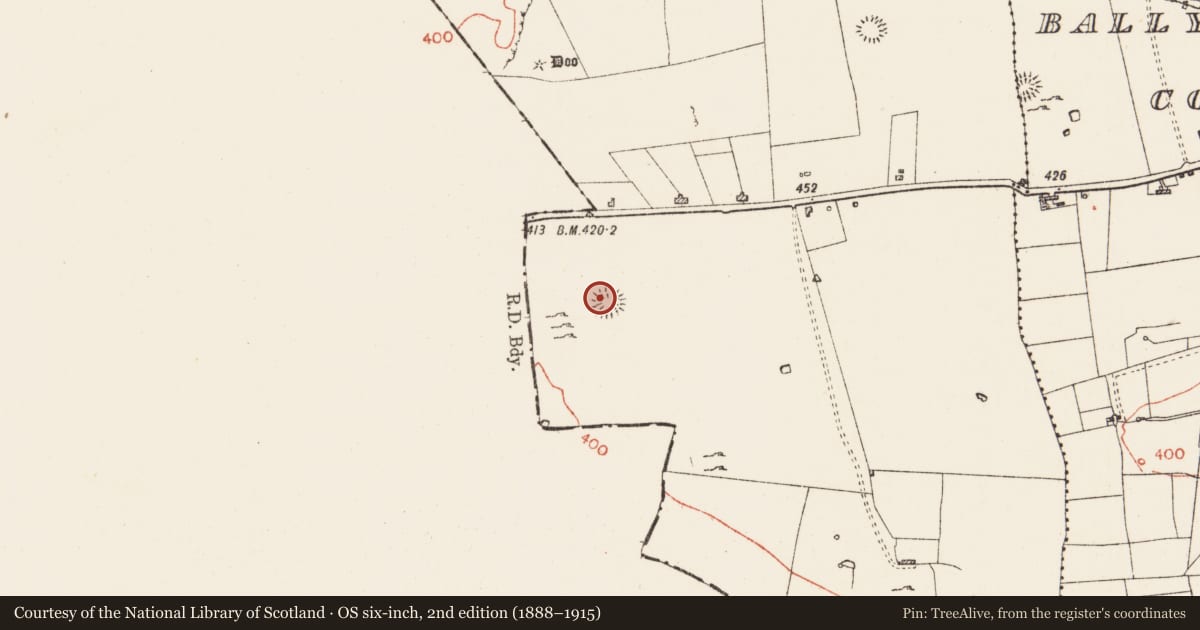 Ordnance Survey six-inch map, 2nd edition (1888–1915) covering the location of Barrow - ring-barrow, Ballymore West, County Roscommon, with a pin at the register's coordinates