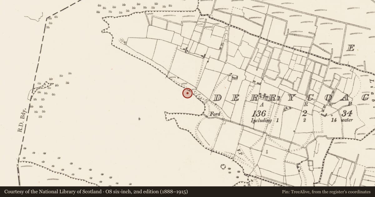 Ordnance Survey six-inch map, 2nd edition (1888–1915) covering the location of Crannog, Derrycoagh, Lough Gara, County Roscommon, with a pin at the register's coordinates