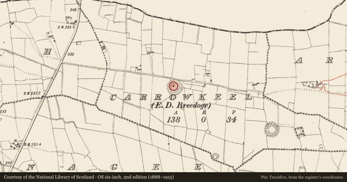 Ordnance Survey six-inch map, 2nd edition (1888–1915) covering the location of Barrow - ring-barrow, Carrowkeel, County Roscommon, with a pin at the register's coordinates