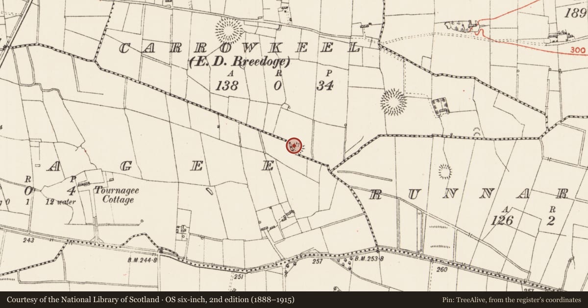 Ordnance Survey six-inch map, 2nd edition (1888–1915) covering the location of Ringfort - rath, Carrowkeel, County Roscommon, with a pin at the register's coordinates