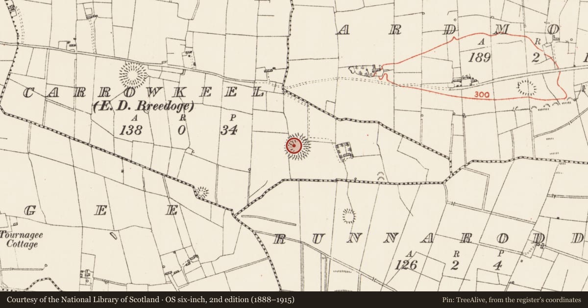 Ordnance Survey six-inch map, 2nd edition (1888–1915) covering the location of Ringfort - rath, Carrowkeel, County Roscommon, with a pin at the register's coordinates