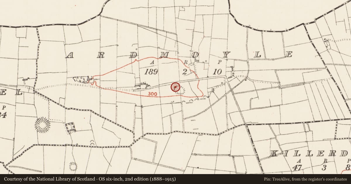 Ordnance Survey six-inch map, 2nd edition (1888–1915) covering the location of Ringfort - rath, Ardmoyle, County Roscommon, with a pin at the register's coordinates