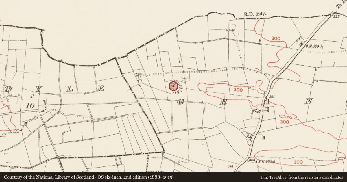 Ordnance Survey six-inch map, 2nd edition (1888–1915) covering the location of Ringfort - rath, Grange More, County Roscommon, with a pin at the register's coordinates