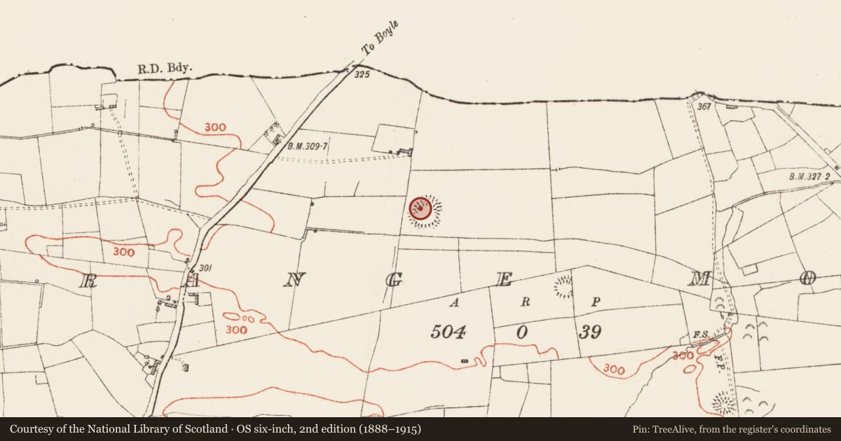 Ordnance Survey six-inch map, 2nd edition (1888–1915) covering the location of Ringfort - rath, Grange More, County Roscommon, with a pin at the register's coordinates