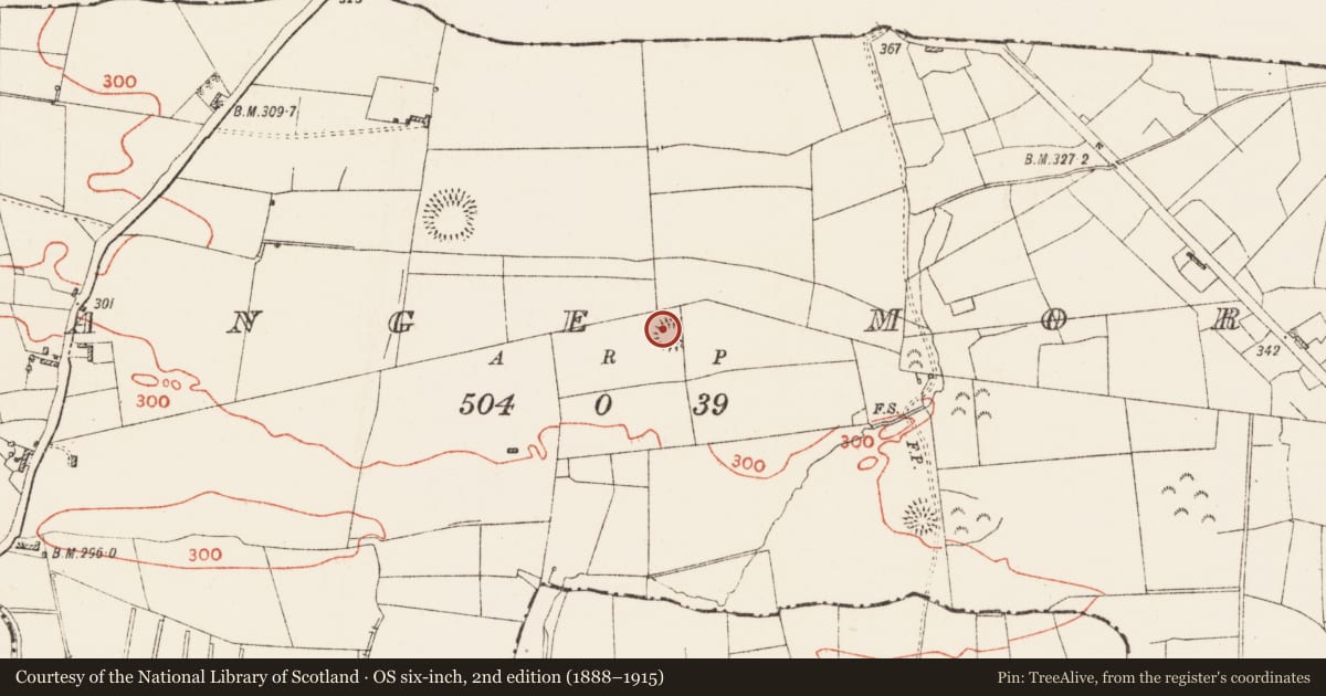 Ordnance Survey six-inch map, 2nd edition (1888–1915) covering the location of Ringfort - rath, Grange More, County Roscommon, with a pin at the register's coordinates
