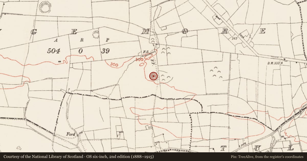 Ordnance Survey six-inch map, 2nd edition (1888–1915) covering the location of Ringfort - rath, Grange More, County Roscommon, with a pin at the register's coordinates