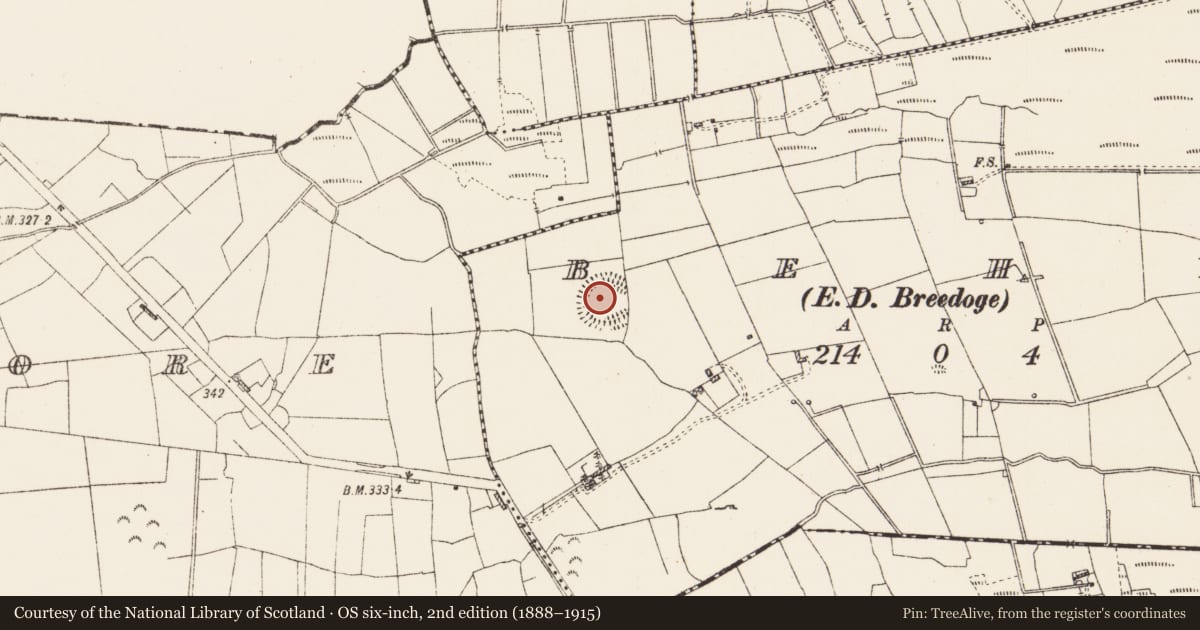 Ordnance Survey six-inch map, 2nd edition (1888–1915) covering the location of Ringfort - rath, Behy, County Roscommon, with a pin at the register's coordinates