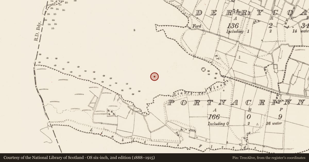 Ordnance Survey six-inch map, 2nd edition (1888–1915) covering the location of Crannog, Portnacrinnaght, Lough Gara, County Roscommon, with a pin at the register's coordinates