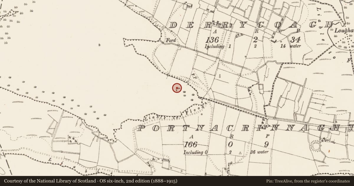 Ordnance Survey six-inch map, 2nd edition (1888–1915) covering the location of Crannog, Lough Gara, Derrycoagh, County Roscommon, with a pin at the register's coordinates