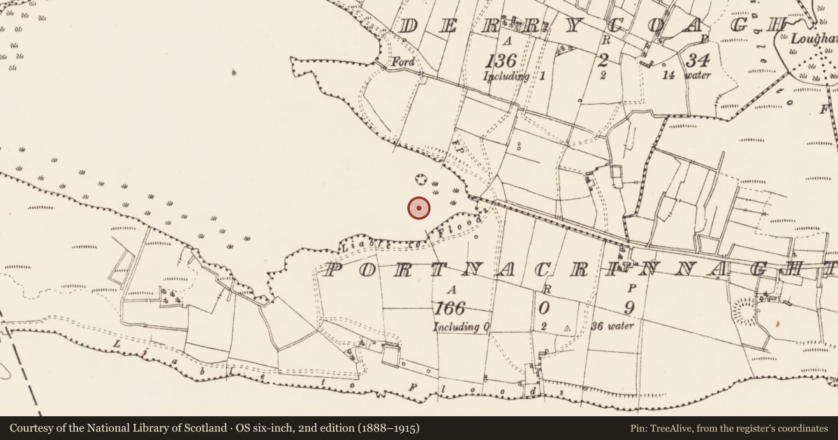 Ordnance Survey six-inch map, 2nd edition (1888–1915) covering the location of Crannog, Portnacrinnaght, Lough Gara, County Roscommon, with a pin at the register's coordinates