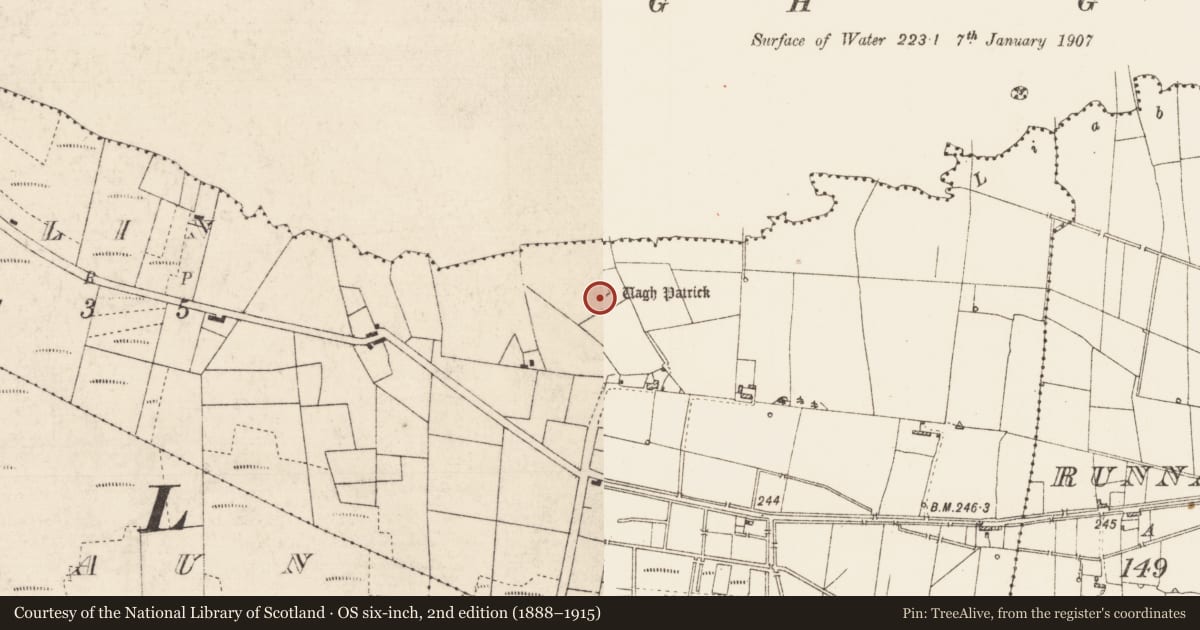 Ordnance Survey six-inch map, 2nd edition (1888–1915) covering the location of Souterrain, Callow Or Runnawillin, County Roscommon, with a pin at the register's coordinates