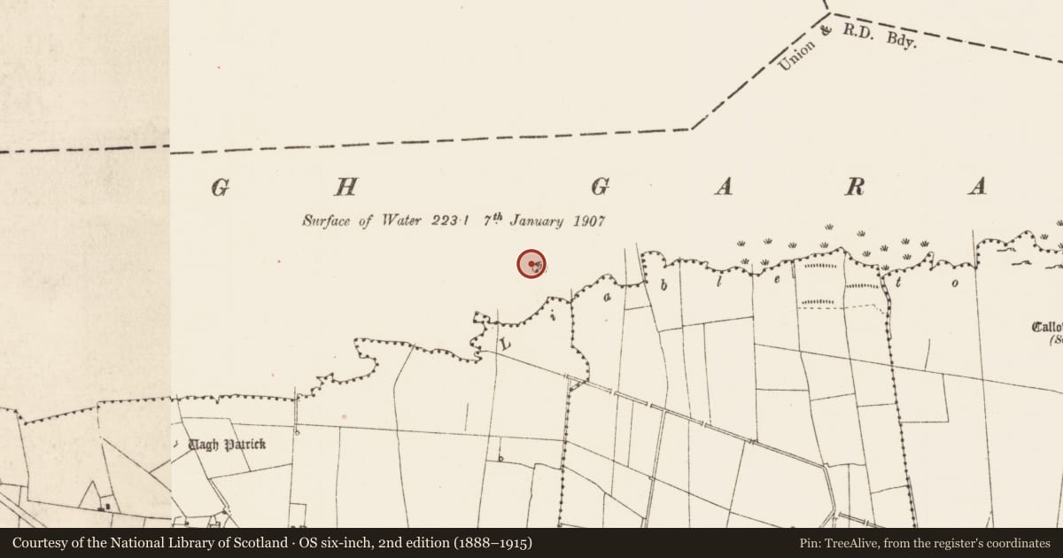 Ordnance Survey six-inch map, 2nd edition (1888–1915) covering the location of Crannog, Callow Or Runnawillin, Lough Gara, County Roscommon, with a pin at the register's coordinates