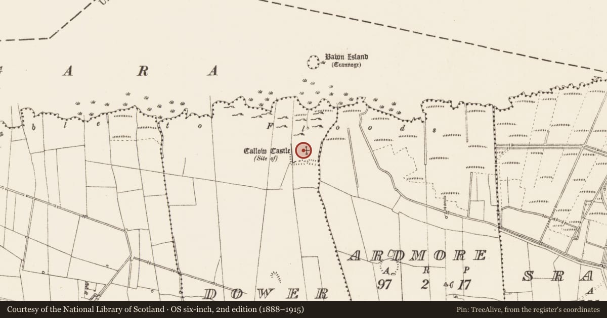 Ordnance Survey six-inch map, 2nd edition (1888–1915) covering the location of Bawn, Dower, County Roscommon, with a pin at the register's coordinates