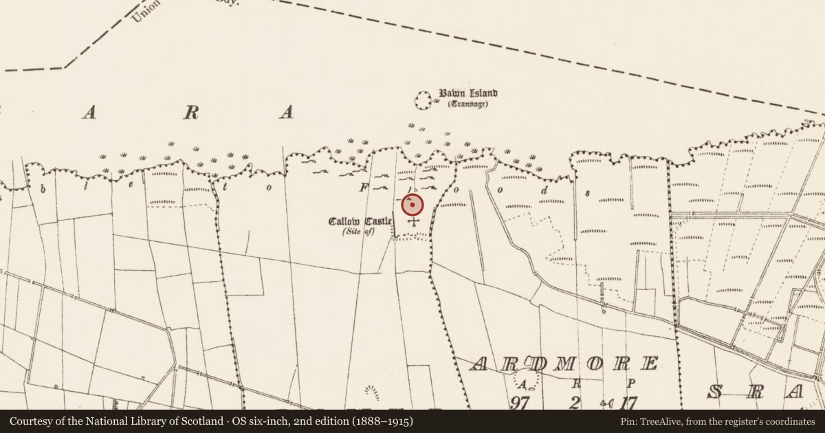 Ordnance Survey six-inch map, 2nd edition (1888–1915) covering the location of House - indeterminate date, Dower, County Roscommon, with a pin at the register's coordinates