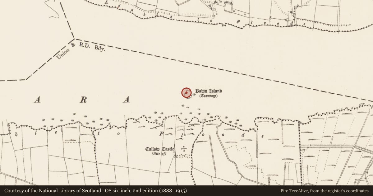Ordnance Survey six-inch map, 2nd edition (1888–1915) covering the location of Crannog, Dower, Lough Gara, County Roscommon, with a pin at the register's coordinates