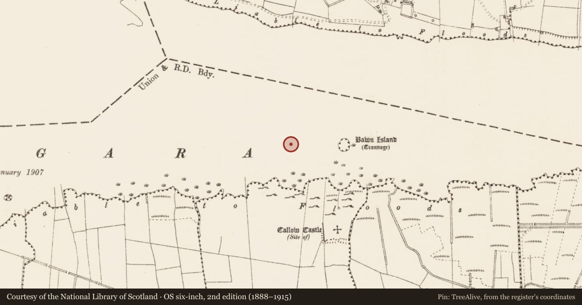Ordnance Survey six-inch map, 2nd edition (1888–1915) covering the location of Crannog, Dower, Lough Gara, County Roscommon, with a pin at the register's coordinates