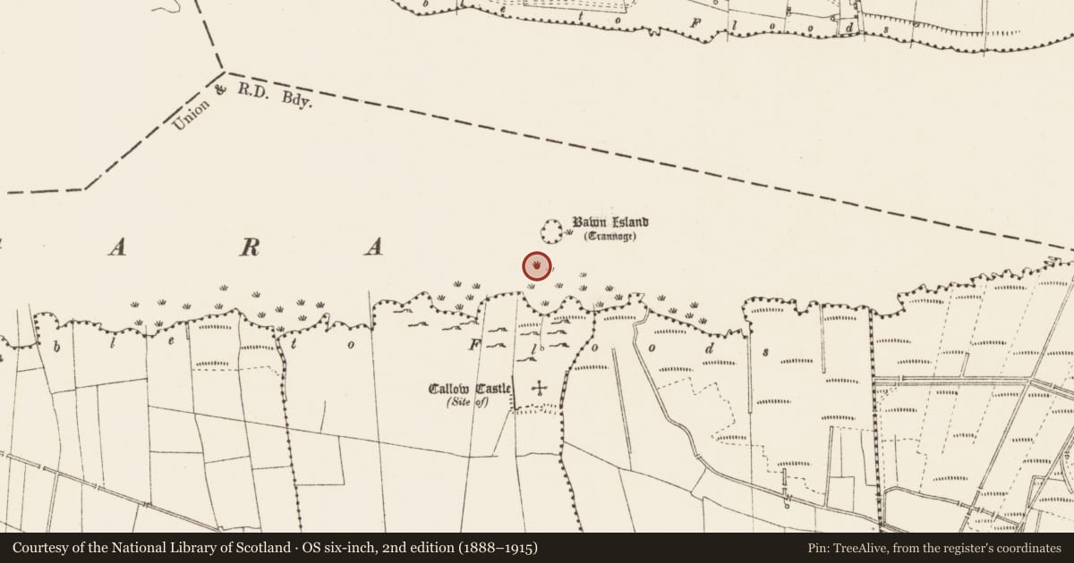 Ordnance Survey six-inch map, 2nd edition (1888–1915) covering the location of Crannog, Dower, Lough Gara, County Roscommon, with a pin at the register's coordinates