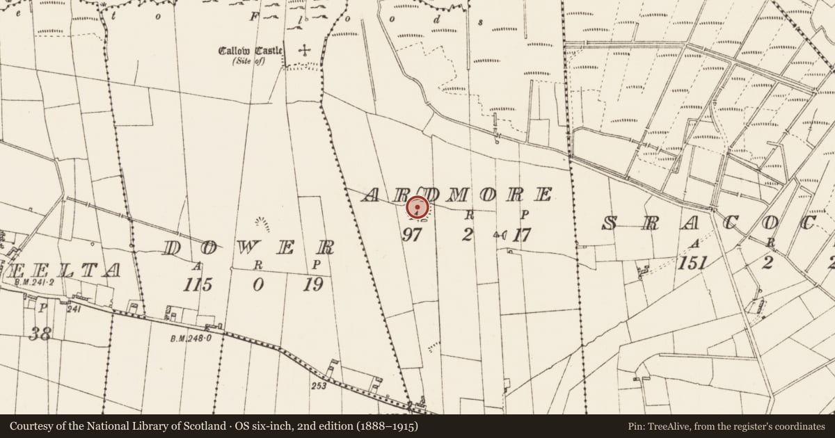 Ordnance Survey six-inch map, 2nd edition (1888–1915) covering the location of Ringfort - rath, Ardmore, County Roscommon, with a pin at the register's coordinates