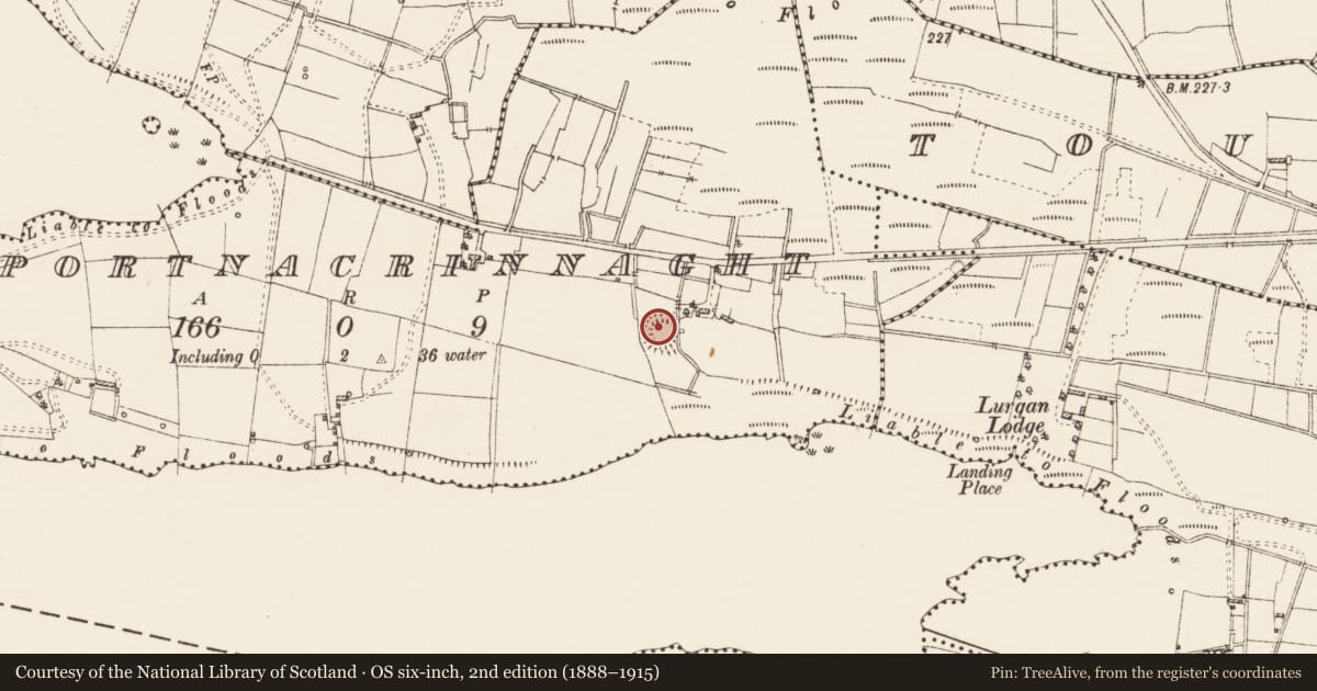 Ordnance Survey six-inch map, 2nd edition (1888–1915) covering the location of Ringfort - rath, Portnacrinnaght, County Roscommon, with a pin at the register's coordinates