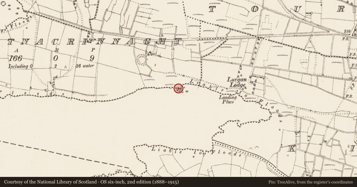 Ordnance Survey six-inch map, 2nd edition (1888–1915) covering the location of Crannog, Lough Gara, Portnacrinnaght, County Roscommon, with a pin at the register's coordinates