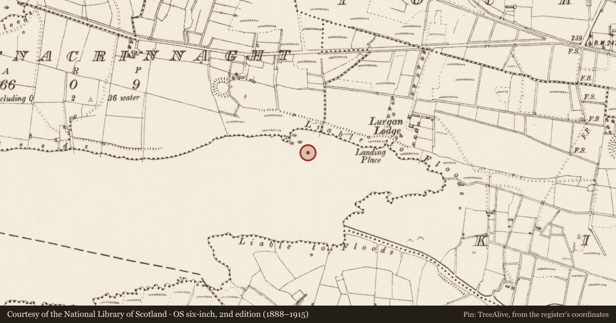 Ordnance Survey six-inch map, 2nd edition (1888–1915) covering the location of Crannog, Portnacrinnaght, Lough Gara, County Roscommon, with a pin at the register's coordinates