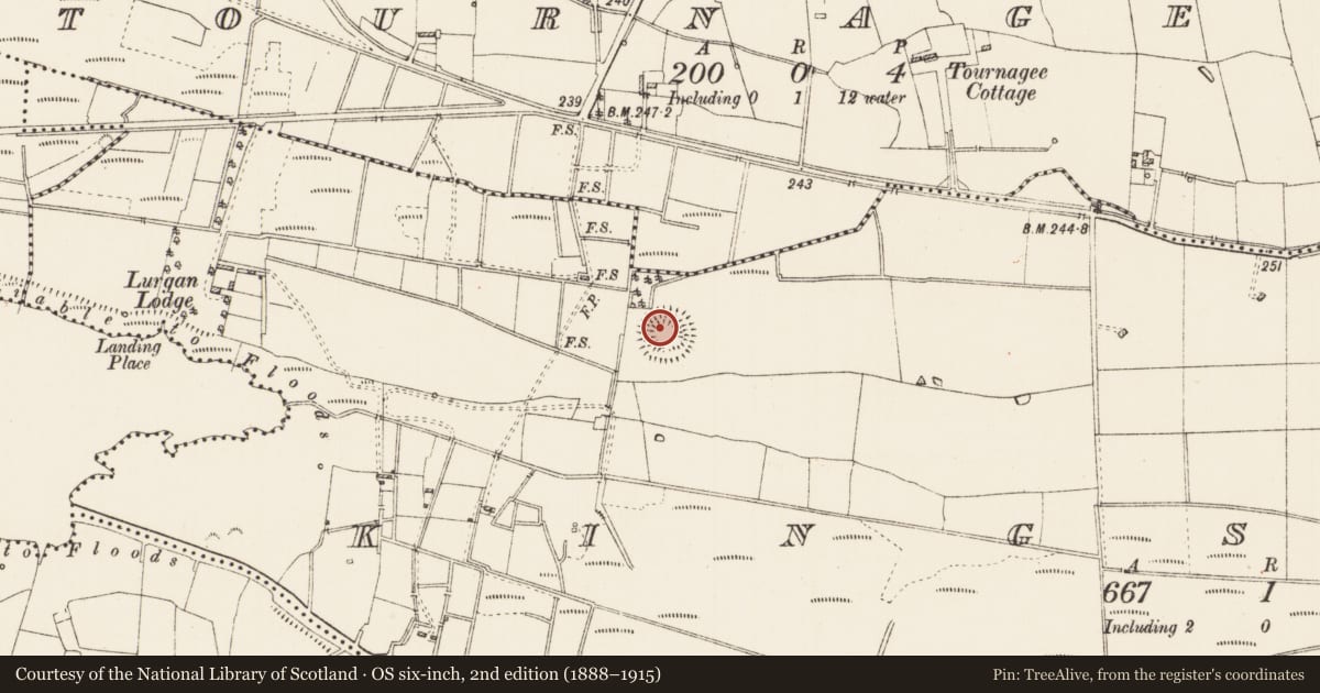 Ordnance Survey six-inch map, 2nd edition (1888–1915) covering the location of Ringfort - rath, Kingsland, County Roscommon, with a pin at the register's coordinates