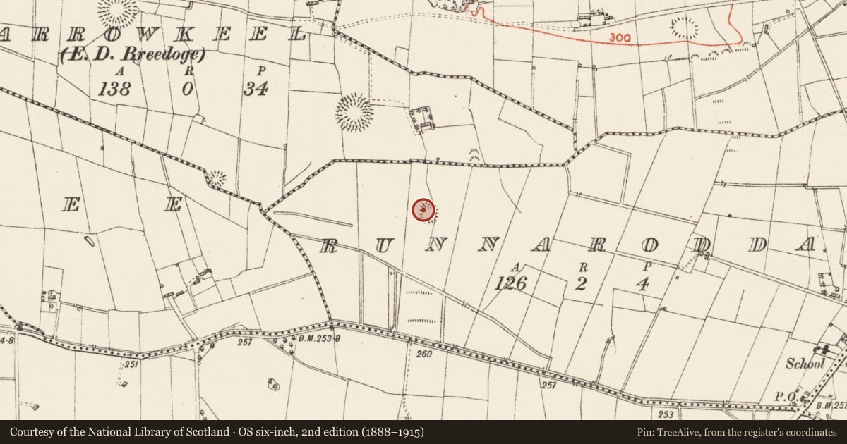 Ordnance Survey six-inch map, 2nd edition (1888–1915) covering the location of Ringfort - rath, Runnaroddan, County Roscommon, with a pin at the register's coordinates