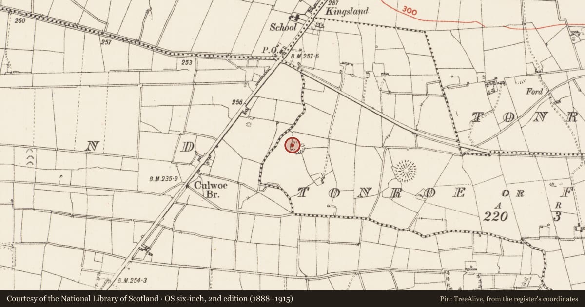 Ordnance Survey six-inch map, 2nd edition (1888–1915) covering the location of Ringfort - rath, Tonroe Or Feenagh, County Roscommon, with a pin at the register's coordinates