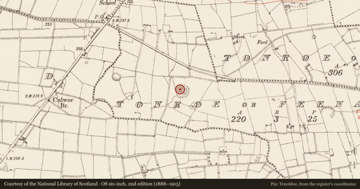 Ordnance Survey six-inch map, 2nd edition (1888–1915) covering the location of Ringfort - rath, Tonroe Or Feenagh, County Roscommon, with a pin at the register's coordinates