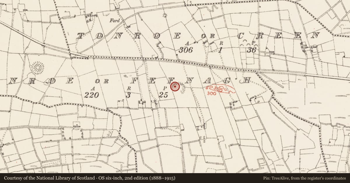 Ordnance Survey six-inch map, 2nd edition (1888–1915) covering the location of Ringfort - rath, Tonroe Or Feenagh, County Roscommon, with a pin at the register's coordinates