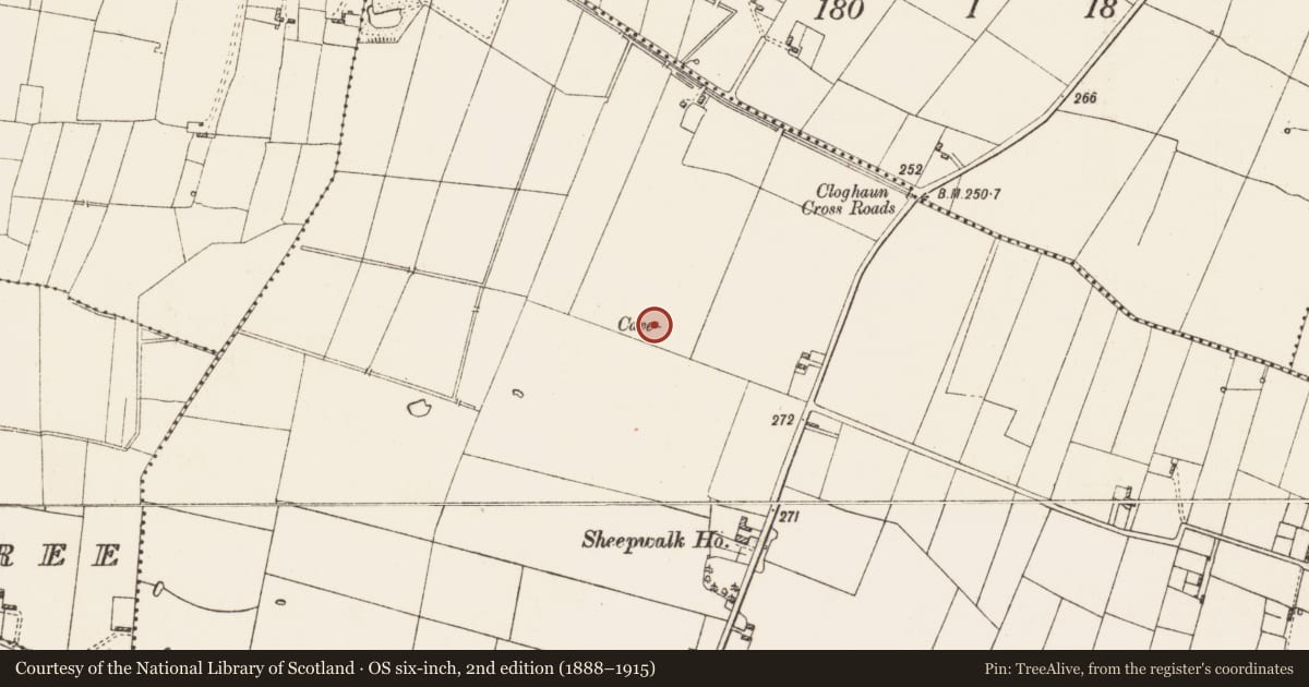 Ordnance Survey six-inch map, 2nd edition (1888–1915) covering the location of Ringfort - rath, Sheepwalk, County Roscommon, with a pin at the register's coordinates