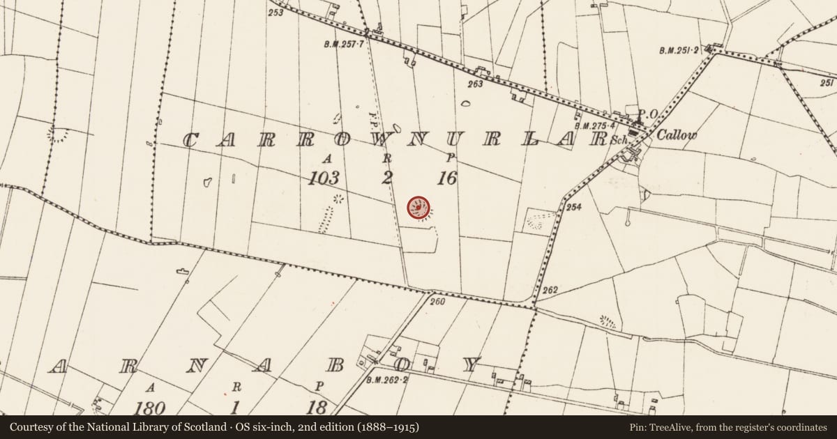 Ordnance Survey six-inch map, 2nd edition (1888–1915) covering the location of Ringfort - rath, Carrownurlar, County Roscommon, with a pin at the register's coordinates