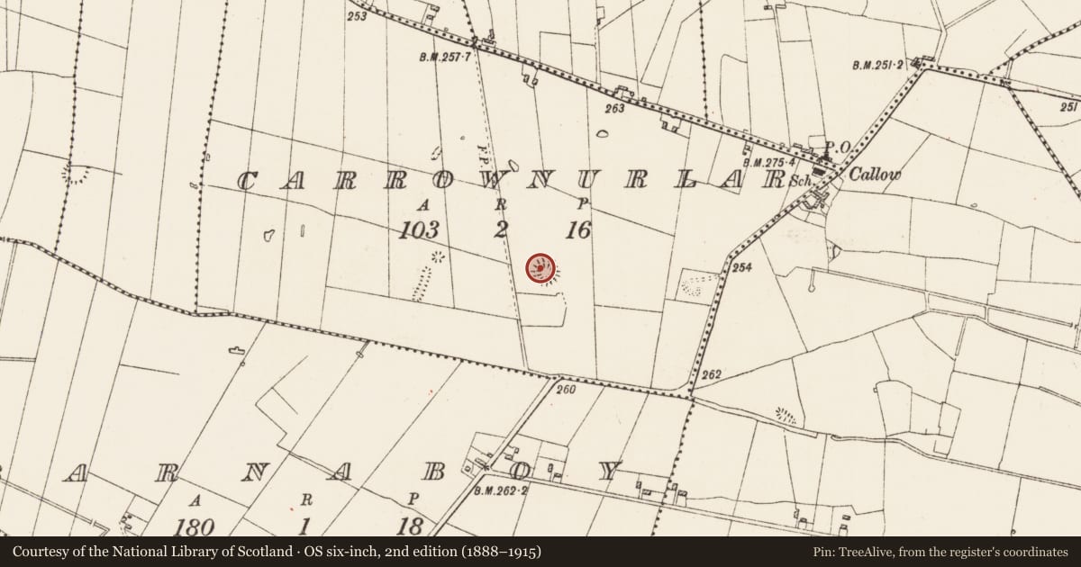 Ordnance Survey six-inch map, 2nd edition (1888–1915) covering the location of Mound, Carrownurlar, County Roscommon, with a pin at the register's coordinates