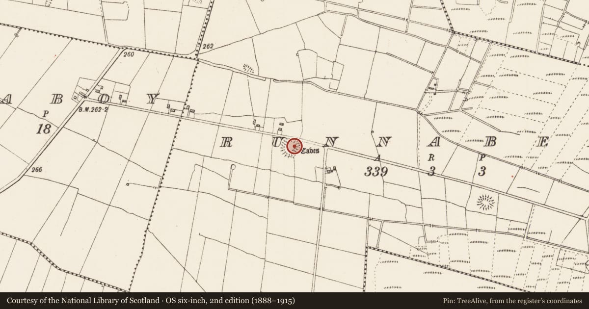 Ordnance Survey six-inch map, 2nd edition (1888–1915) covering the location of Souterrain, Runnabehy, County Roscommon, with a pin at the register's coordinates