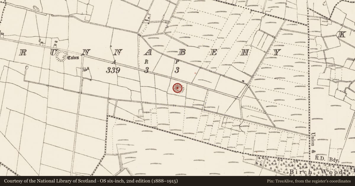 Ordnance Survey six-inch map, 2nd edition (1888–1915) covering the location of Ringfort - rath, Runnabehy, County Roscommon, with a pin at the register's coordinates