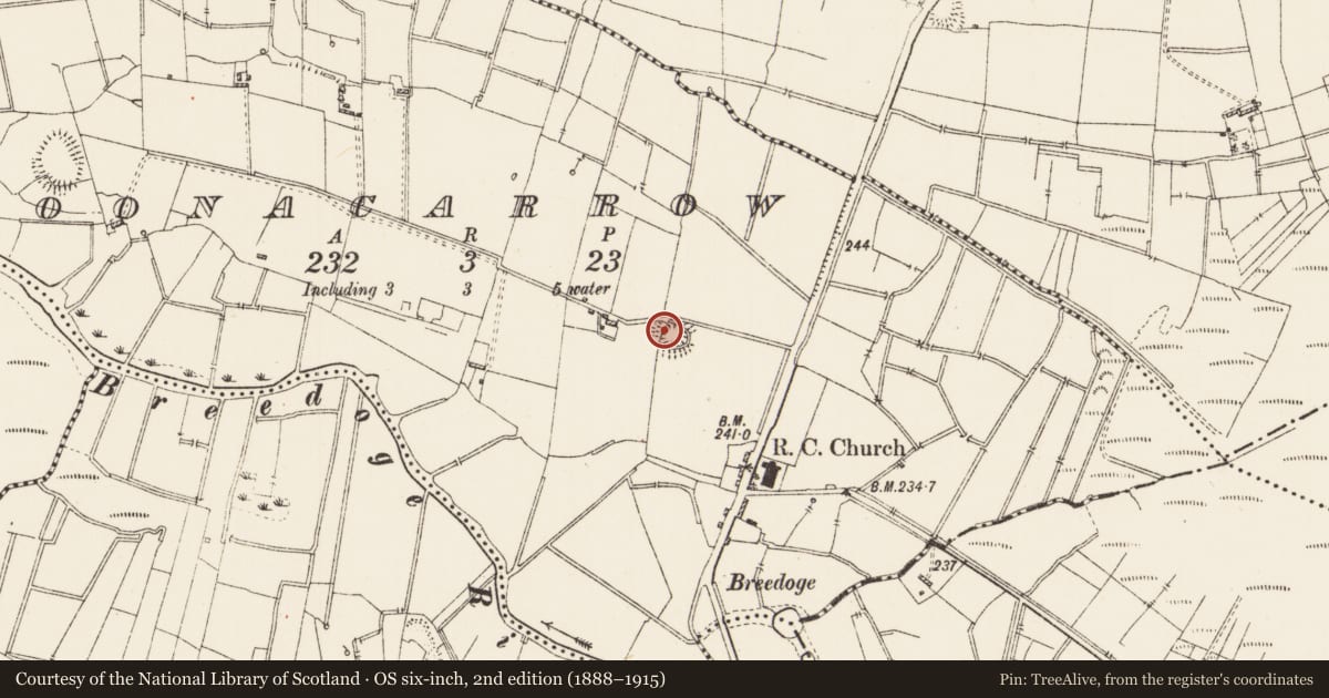 Ordnance Survey six-inch map, 2nd edition (1888–1915) covering the location of Ringfort - rath, Cloonacarrow, County Roscommon, with a pin at the register's coordinates